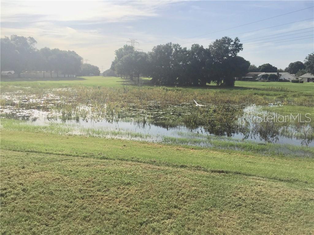VIEWS OF POND AND GOLF COURSE (NOTICE THE WILDLIFE)