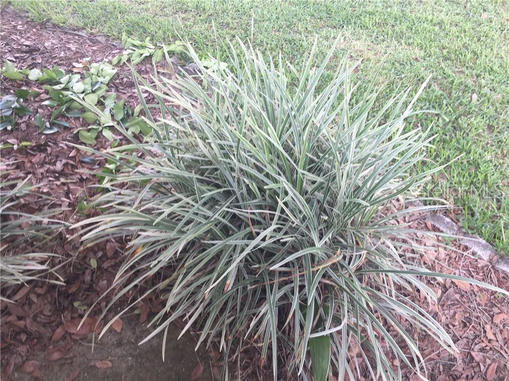 NICELY MULCHED