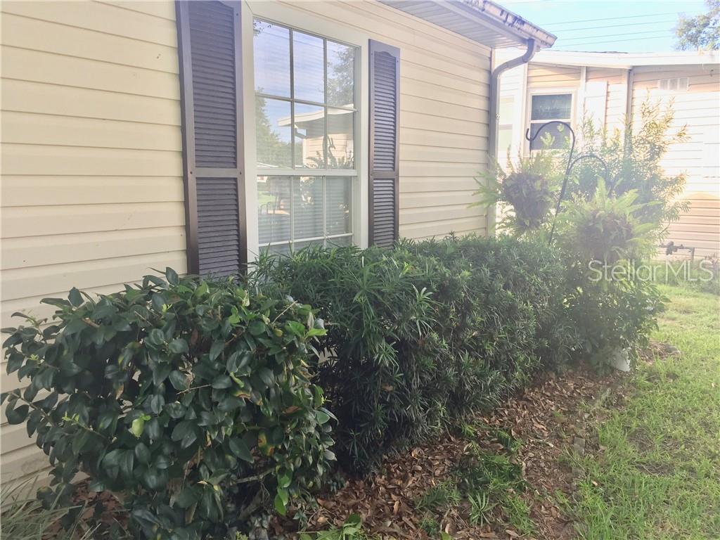 FRESHLY TRIMMED MATURE LANDSCAPING