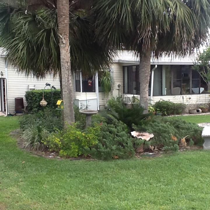 LUSCIOUS LANDSCAPING