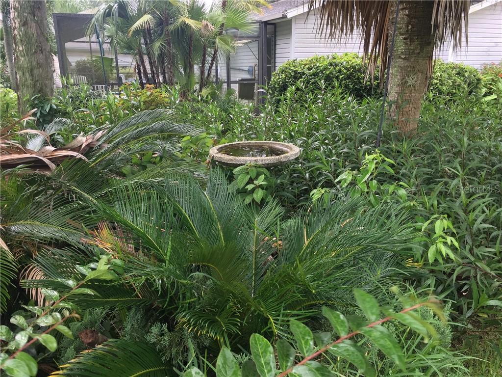 MORE LANDSCAPING VIEWS