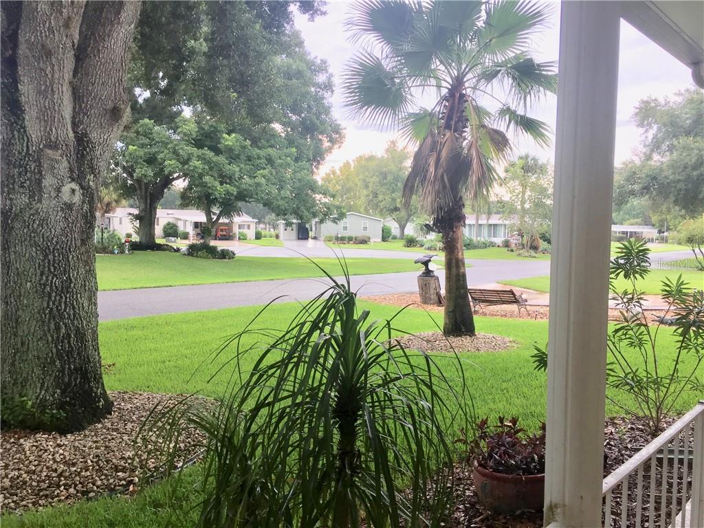 NEIGHBORHOOD VIEWS