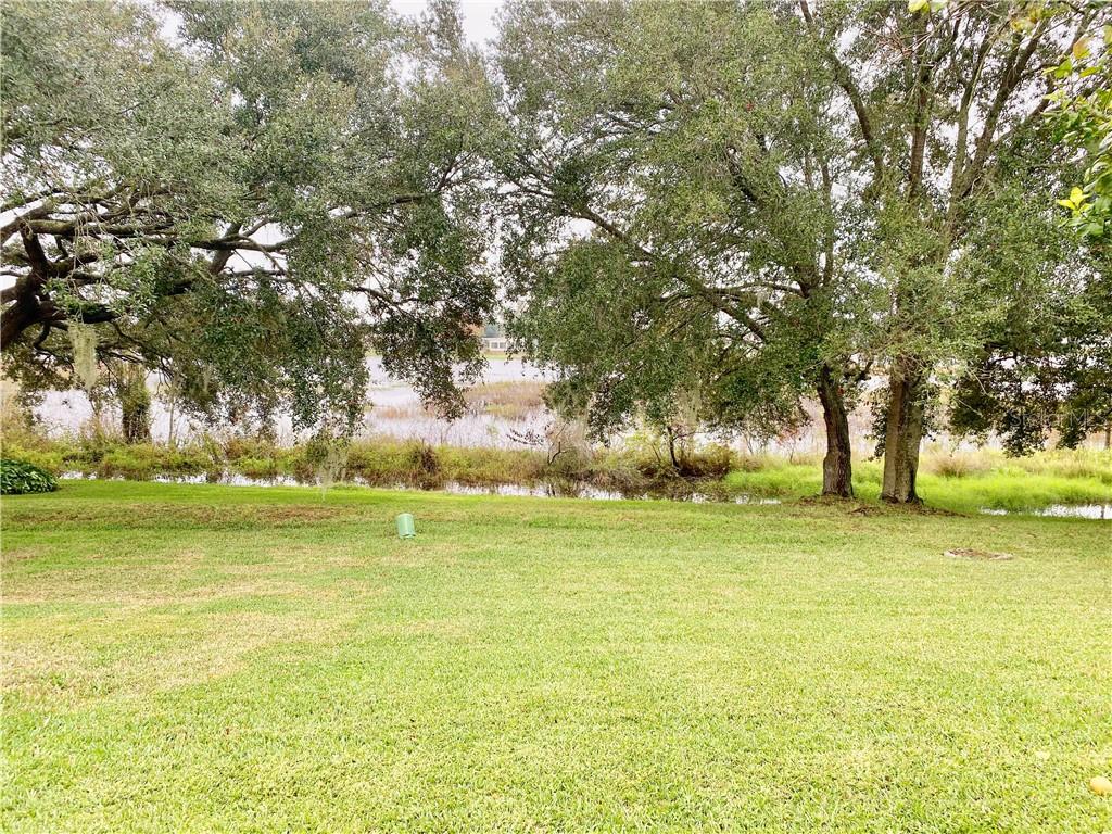 BEAUTIFUL POND VIEWS FROM BACK YARD