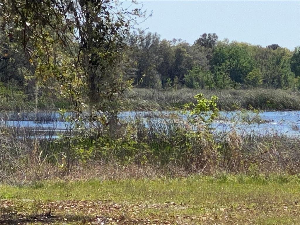 MORE RIVER VIEWS