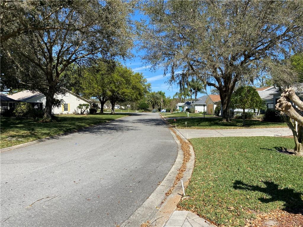 LOOKING INTO CULDESAC