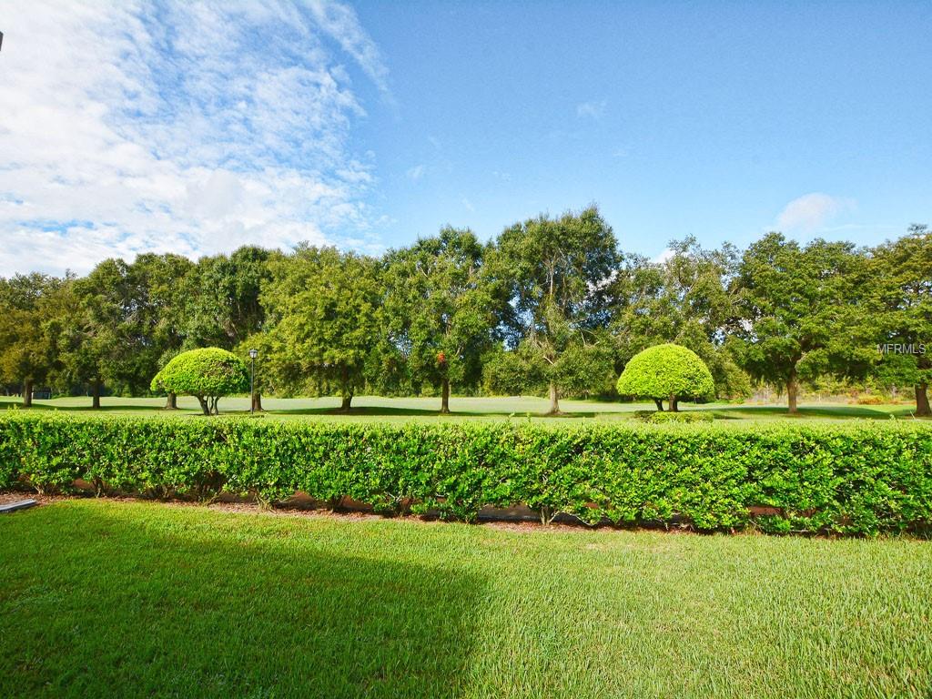 DRIVING RANGE VIEW FROM BACK OF HOME