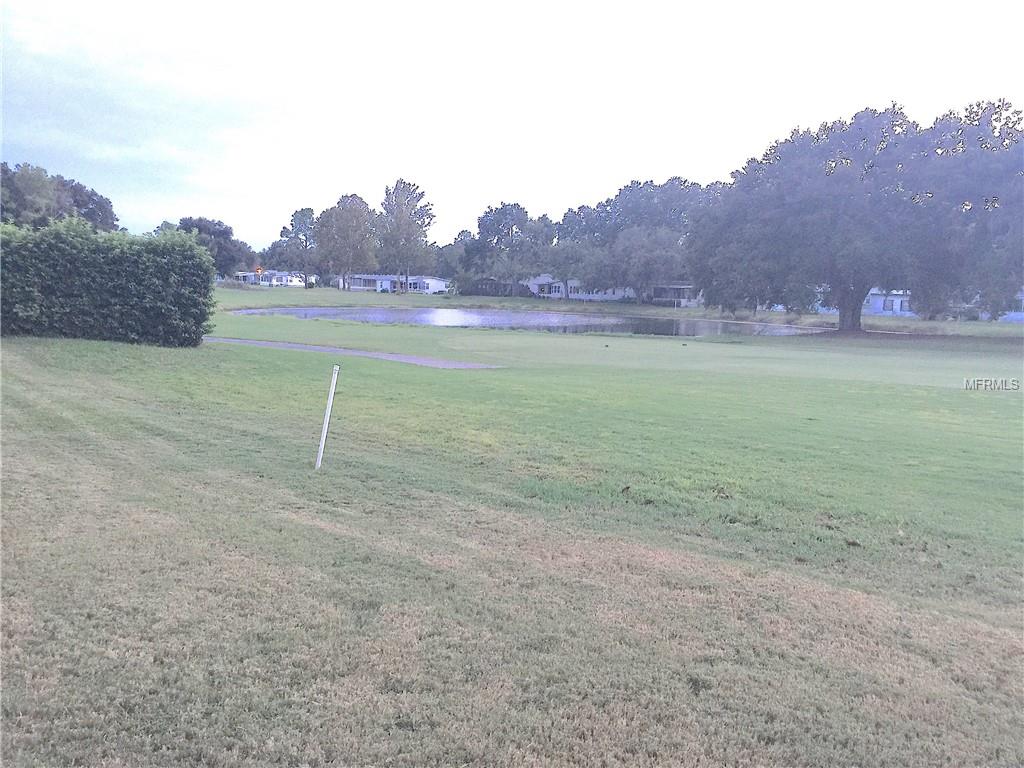 BEAUTIFUL VIEW OF THE POND