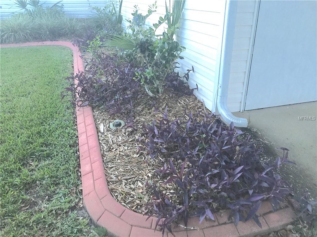 CURBING AROUND LANDSCAPING