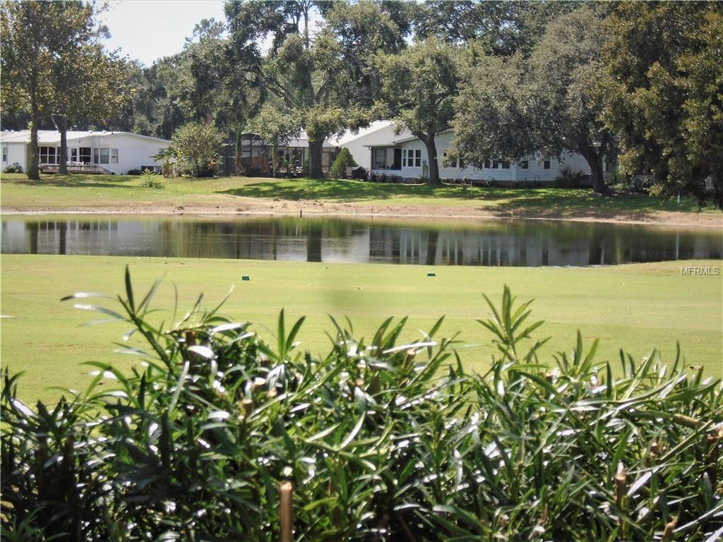 GORGEOUS VIEW OF THE POND