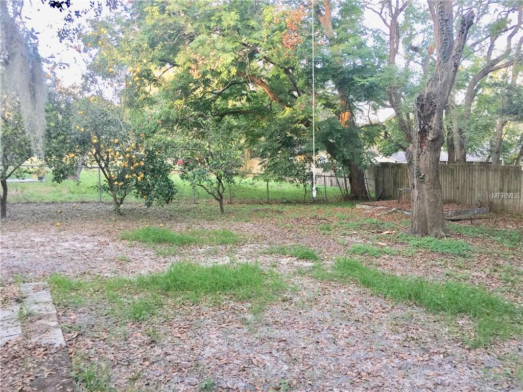 MORE VIEWS OF THE BACK YARD