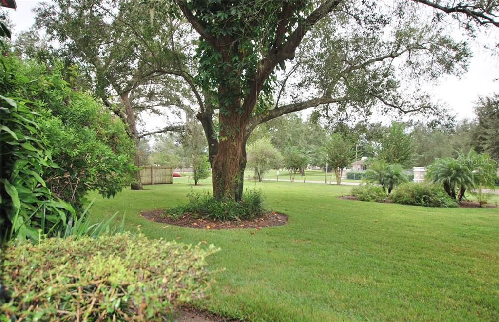 This is the view from your back porch. Serene, quiet, shady, and breezy.