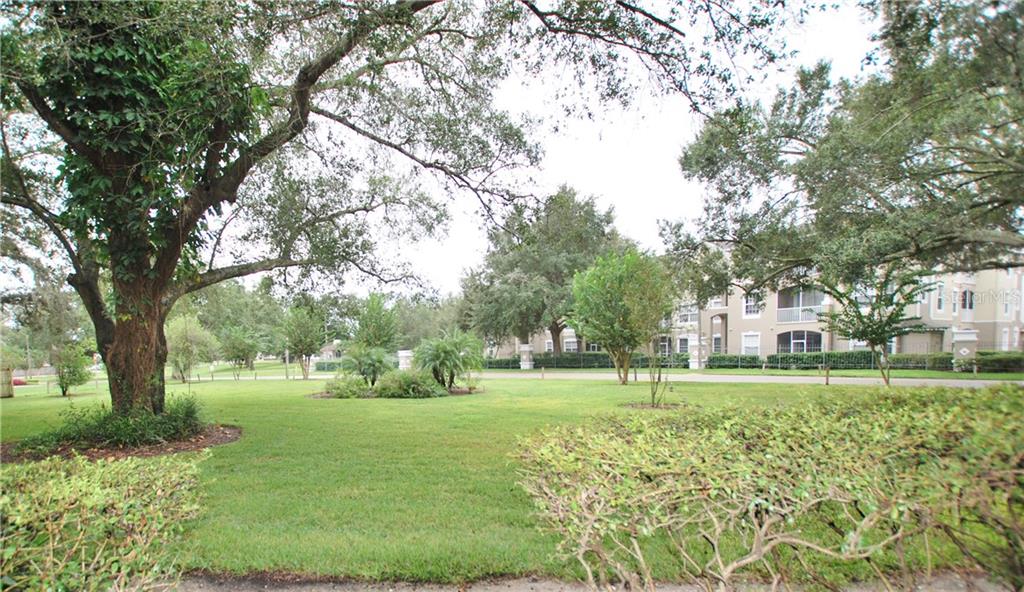 What more could you ask for? This is your view.