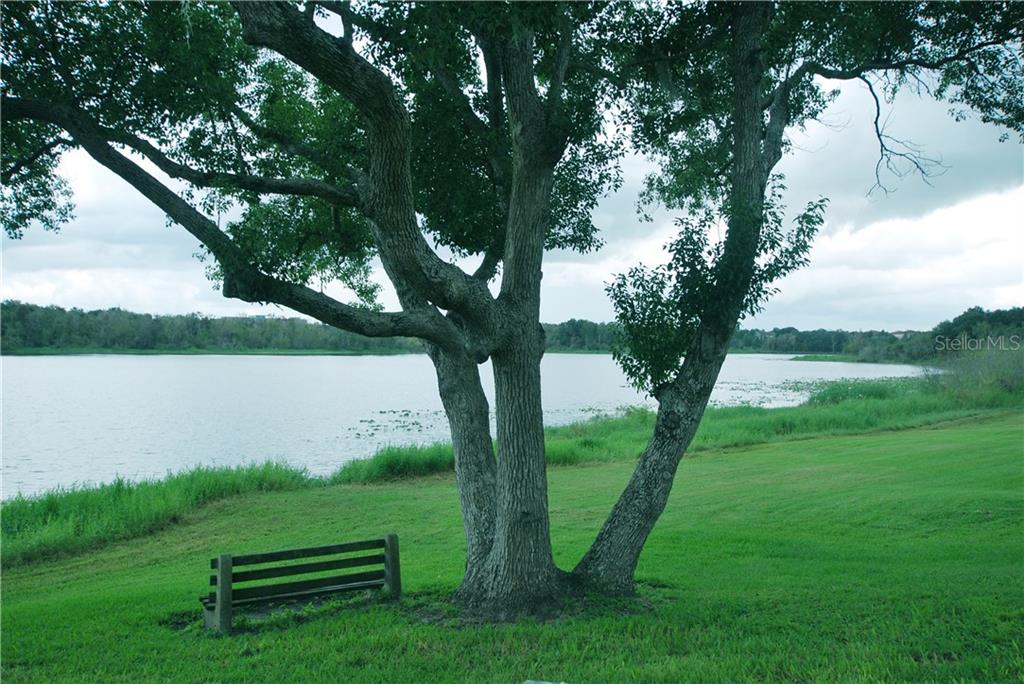 Sit for a spell in the shade. The water relaxes you and the greenery enhances your spirit.