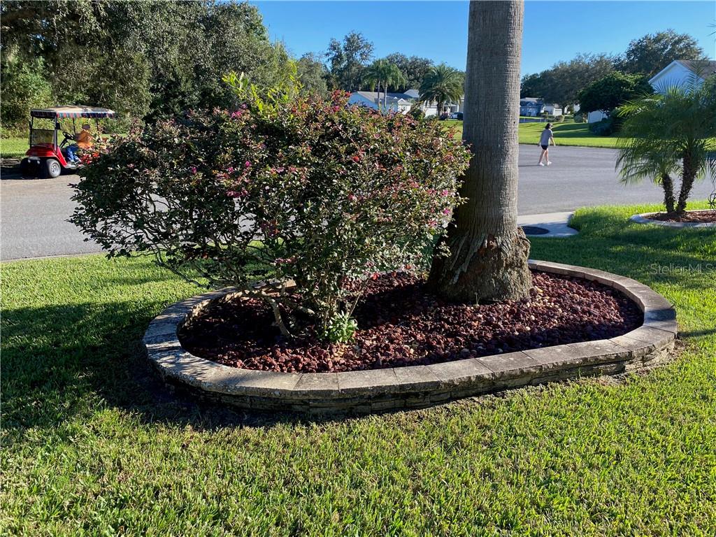 BEAUTIFULLY LANDSCAPED YARD