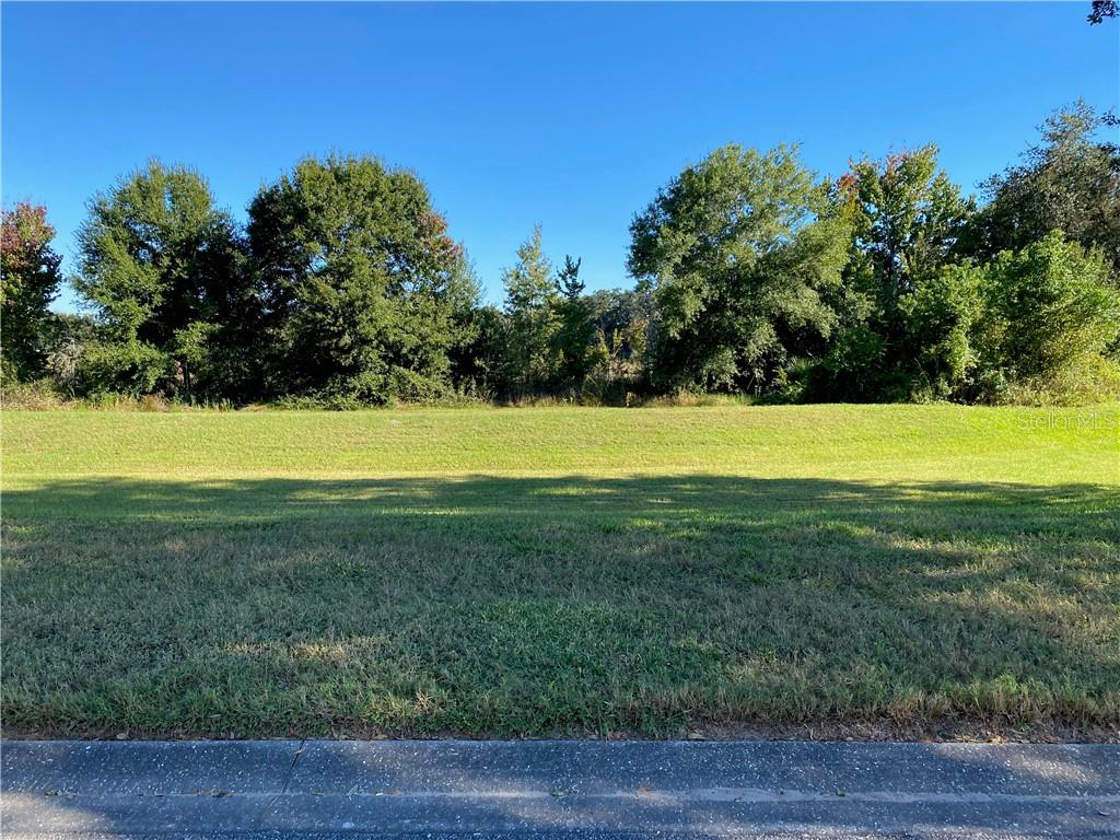 PRIVATE PARKLIKE VIEW ACROSS THE STREET FROM FRONT DOOR
