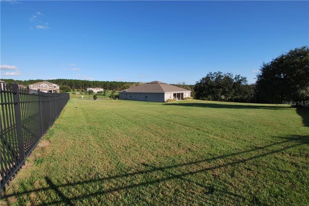 Is this back yard big enough for you?