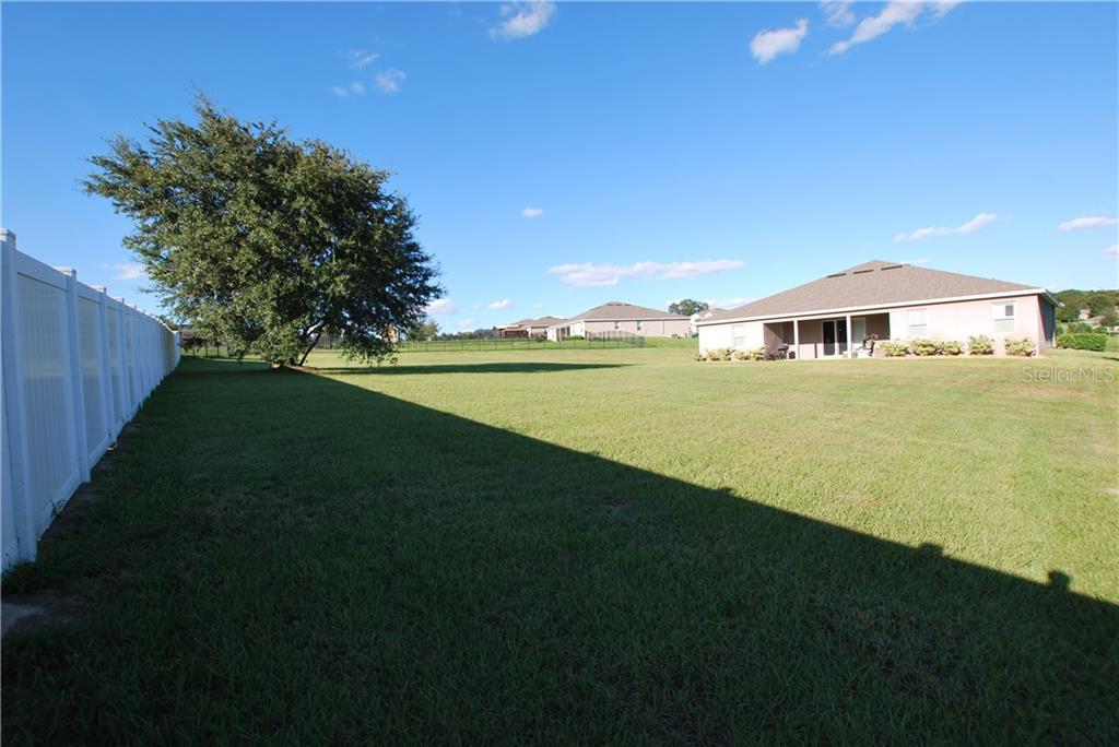 What fun should we have here today?