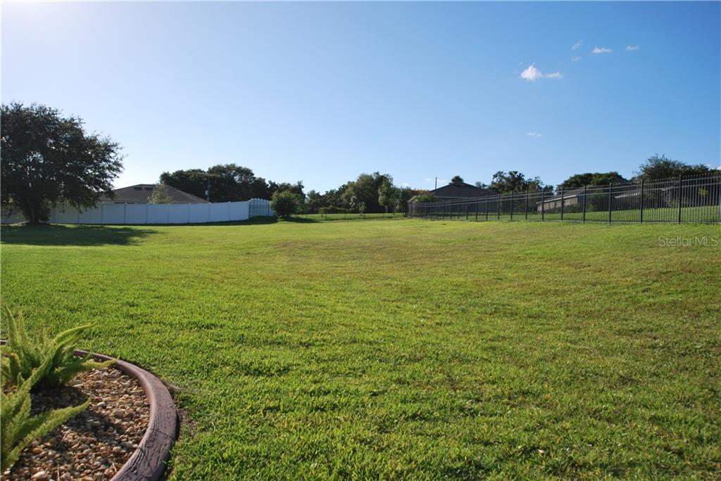 Nice and big back yard.