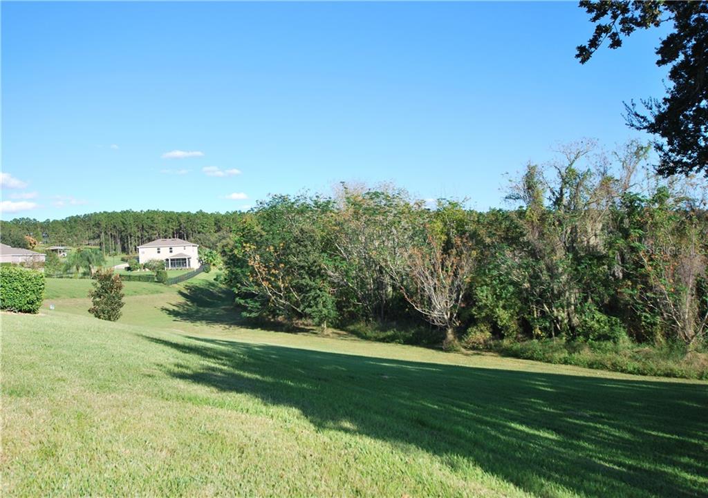 No neighbors on this side of the property!