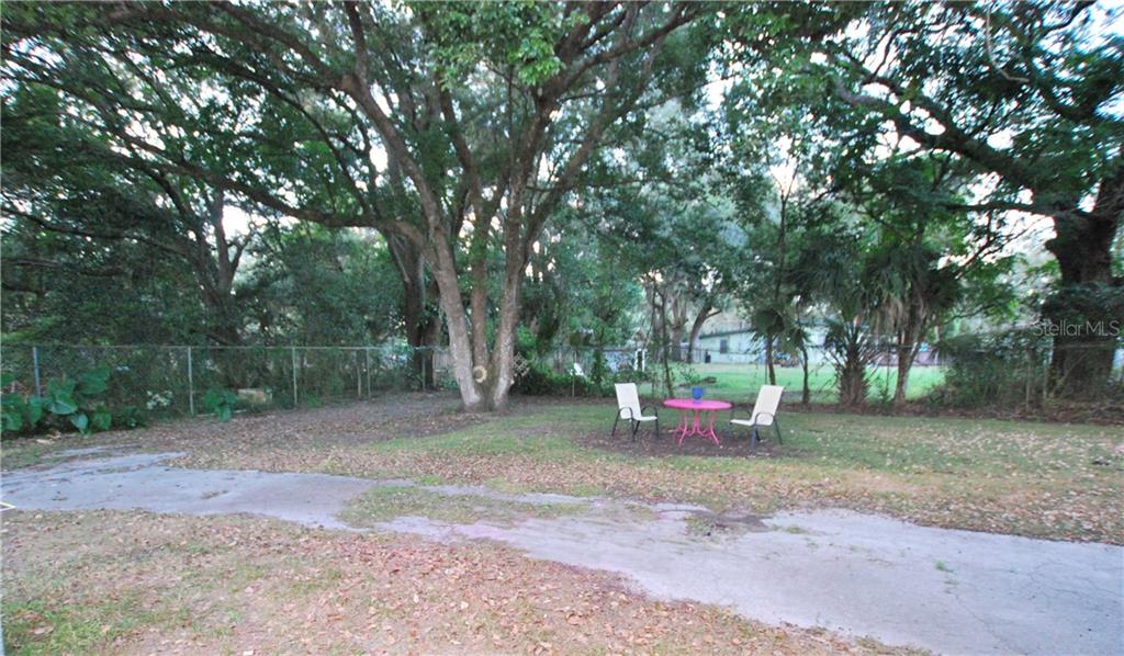Perfect tree to hang swing; perfect setting to relax and enjoy the breeze.