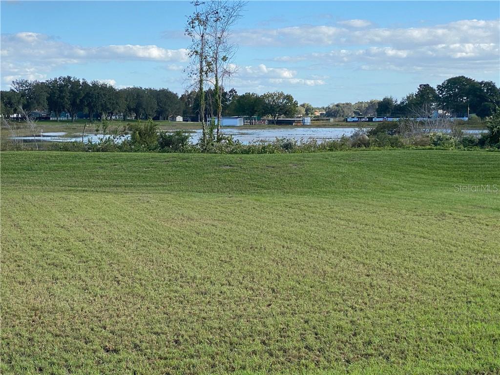 MORE BACK YARD VIEWS