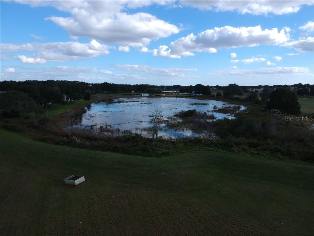 YOU WILL SEE LOTS OF PRETTY WILDLIFE HERE