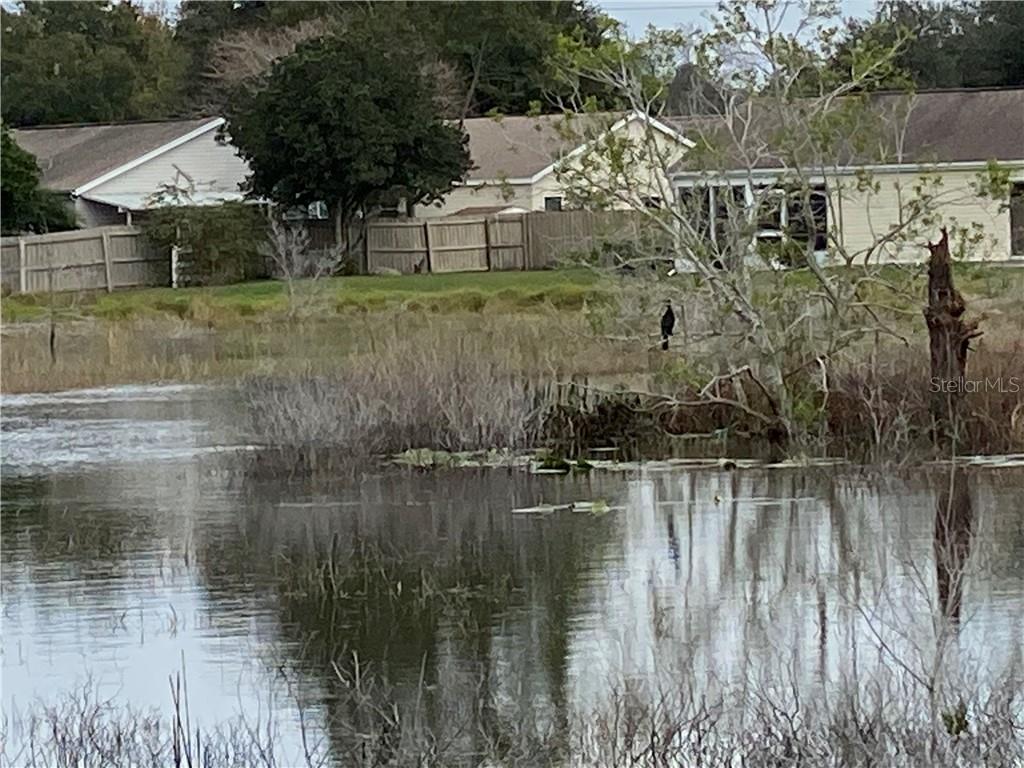 LOTS OF PONDS, LAKES, AND WILDLIFE
