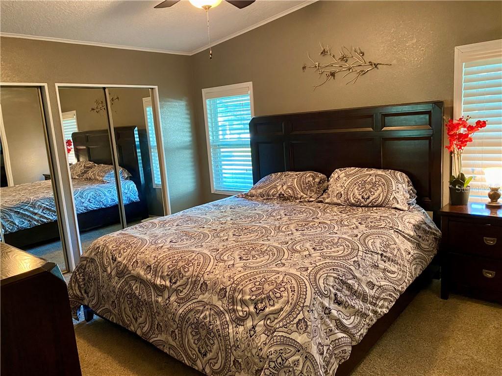 SPACIOUS MASTER BEDROOM