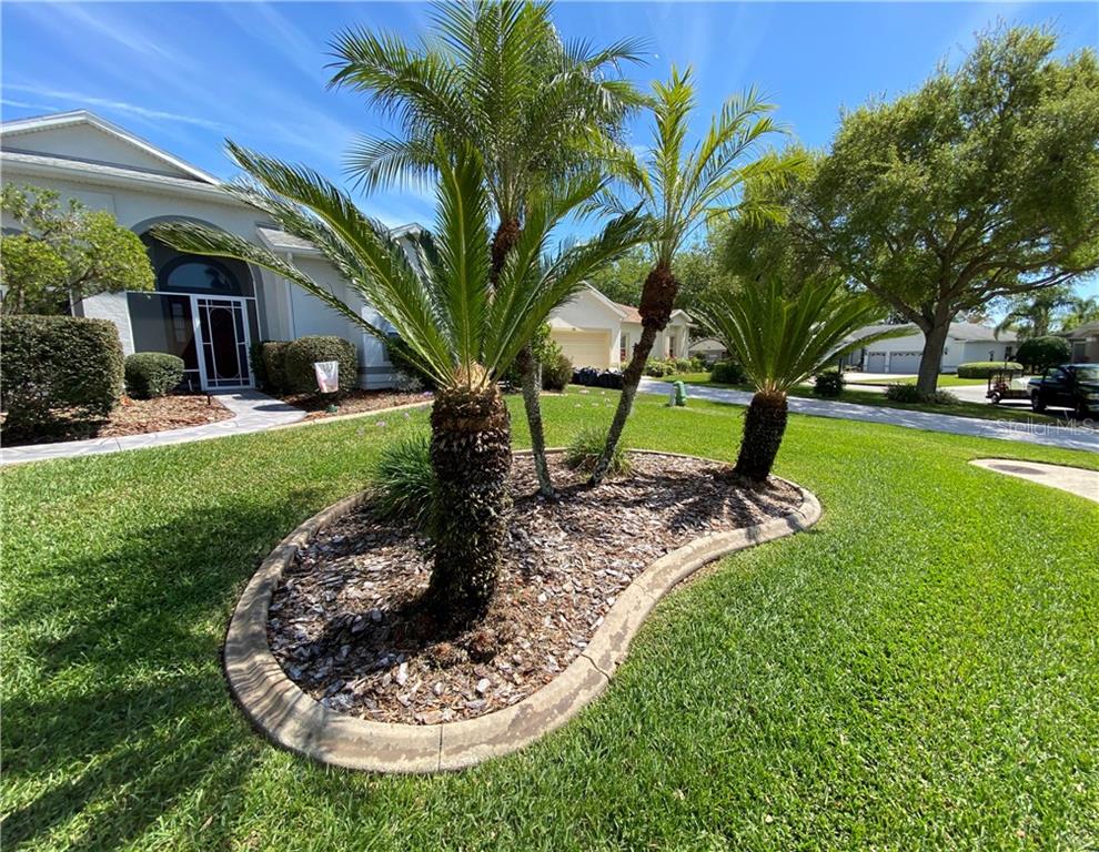 METICULOUS LANDSCAPING