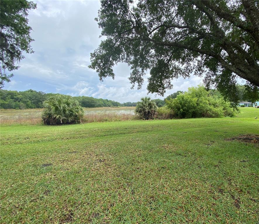 BEAUTIFUL REAR VIEWS