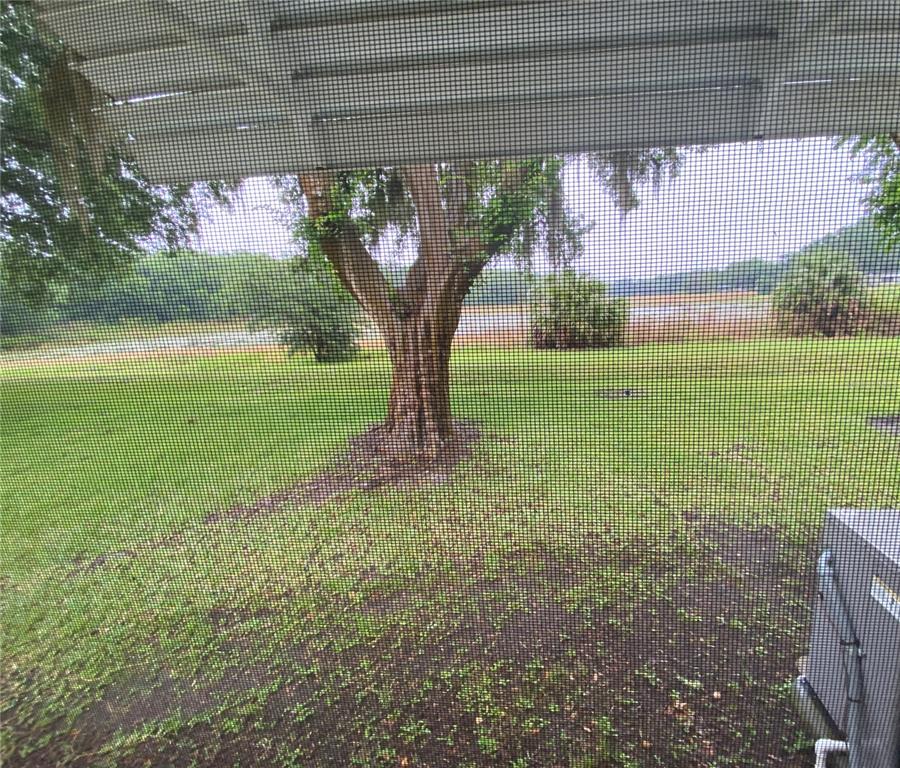 LOOKING OUT ONE OF THE SCREENED MASTER BEDROOM WINDOW