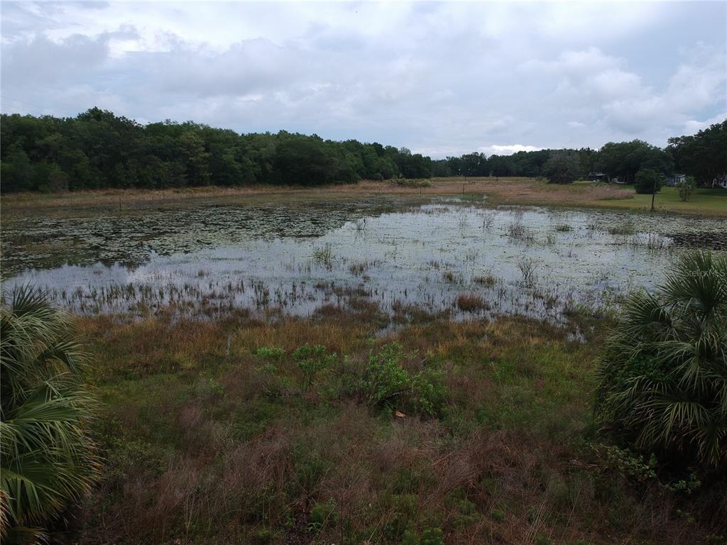 NOT SURE IF YOU CAN SEE THE PRETTY WATER LILLIES IN THE PICTURE