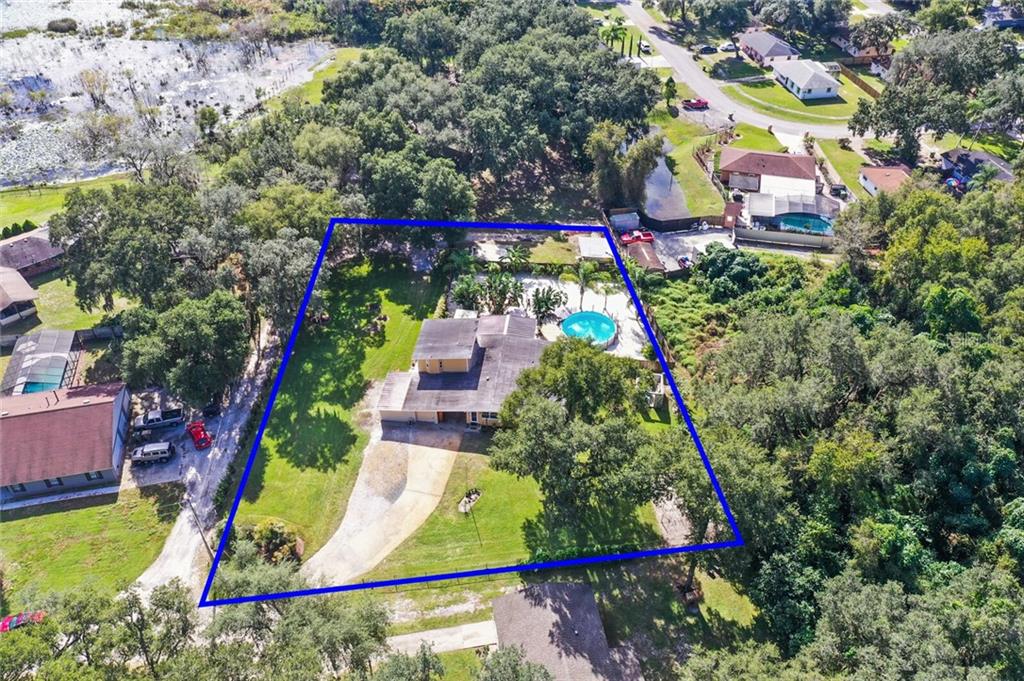 The bounds of your Tropical Paradise