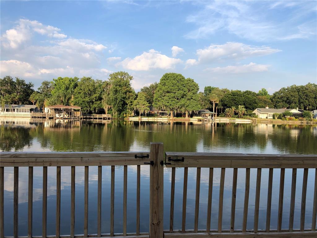 backyard view from dock