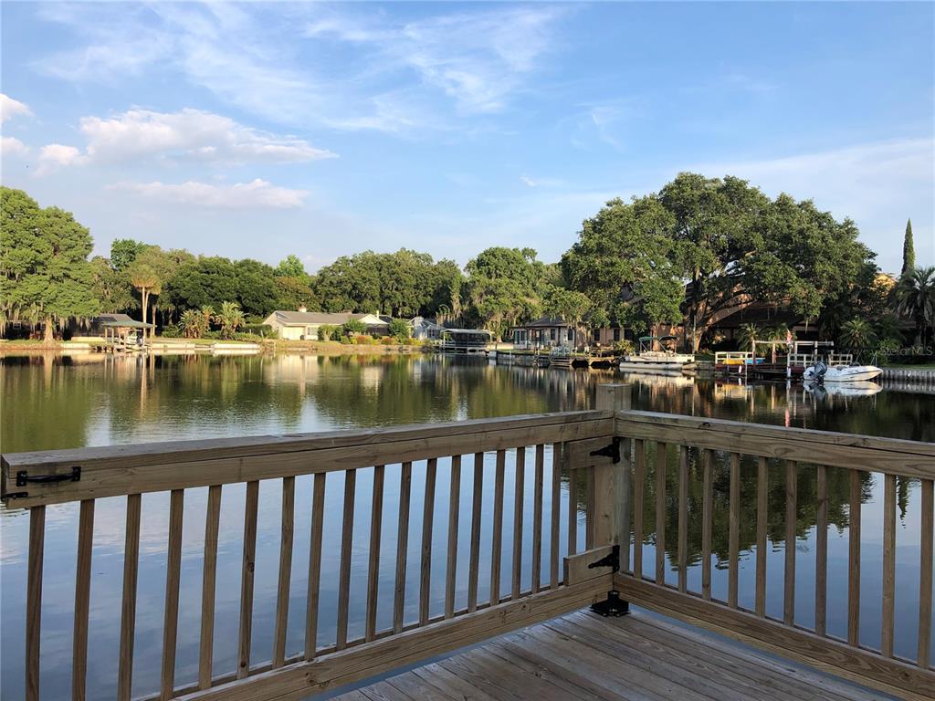 backyard view from dock