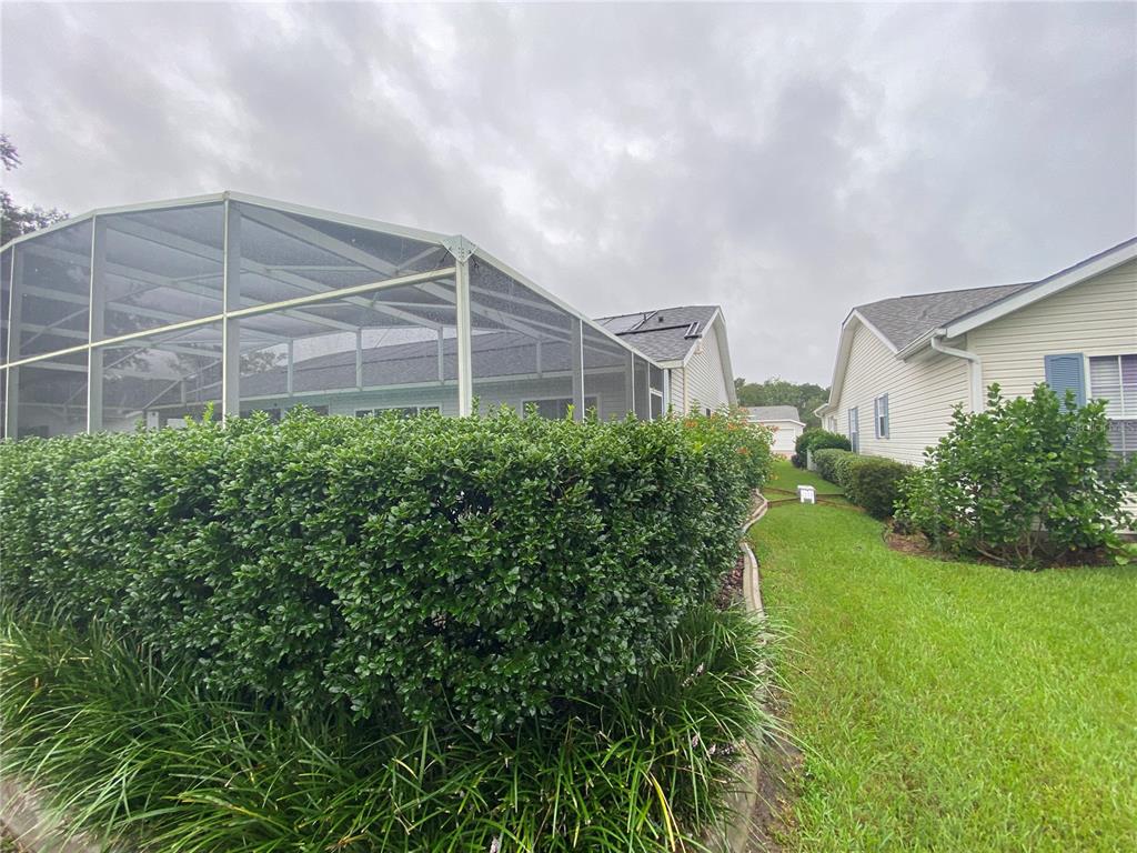 NICE BIRDCAGE AROUND POOL WITH PRIVACY HEDGE
