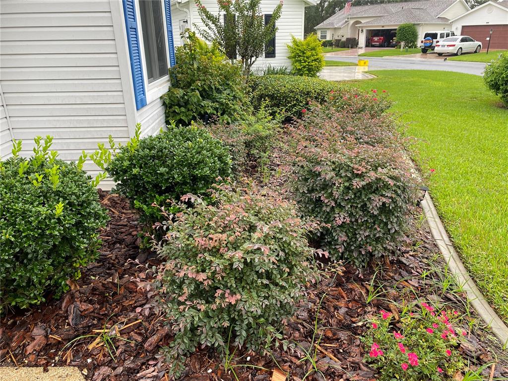 COLORFUL LANDSCAPING