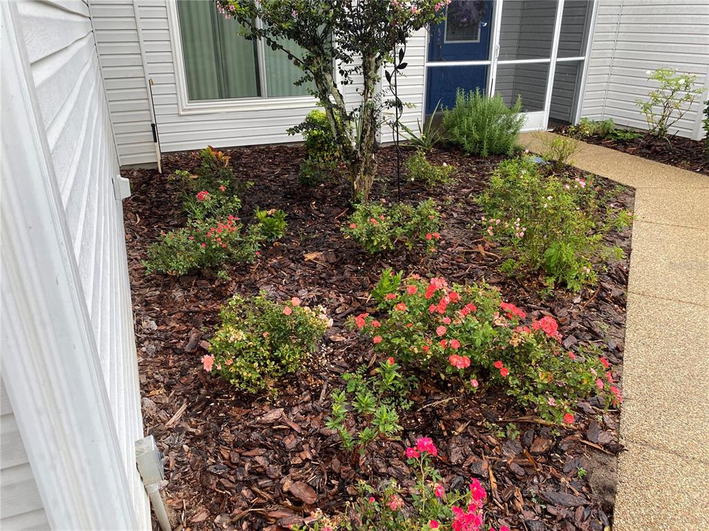 INVITING LANDSCAPING AT FRONT ENTRANCE
