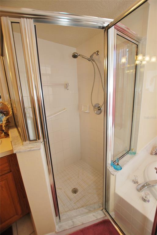 Walk-in shower in Master Bath.