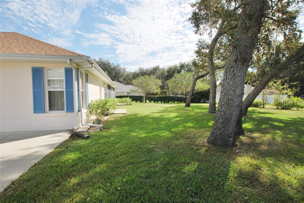 Back-yard view from right property.