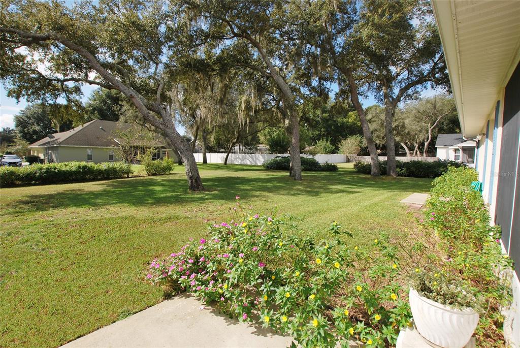 Mature trees and flowers abound in this large back yard. I noticed butterflies, bees, and birds visiting.