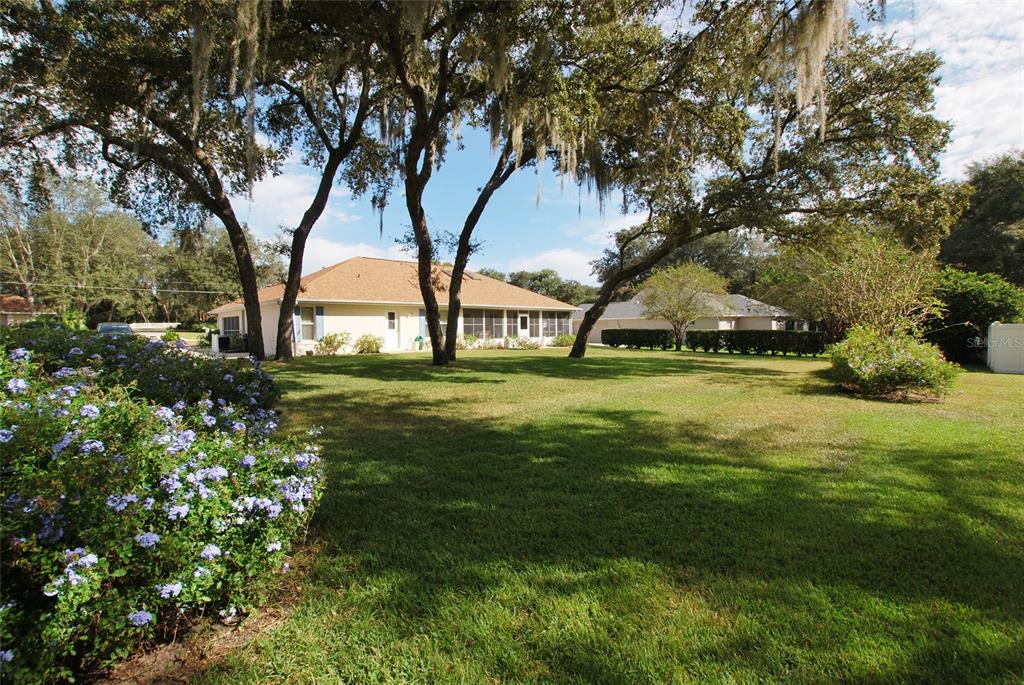 View from back of yard, left side.