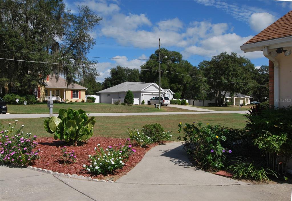 Beautiful front garden, filled with flowers and visiting butterflies.