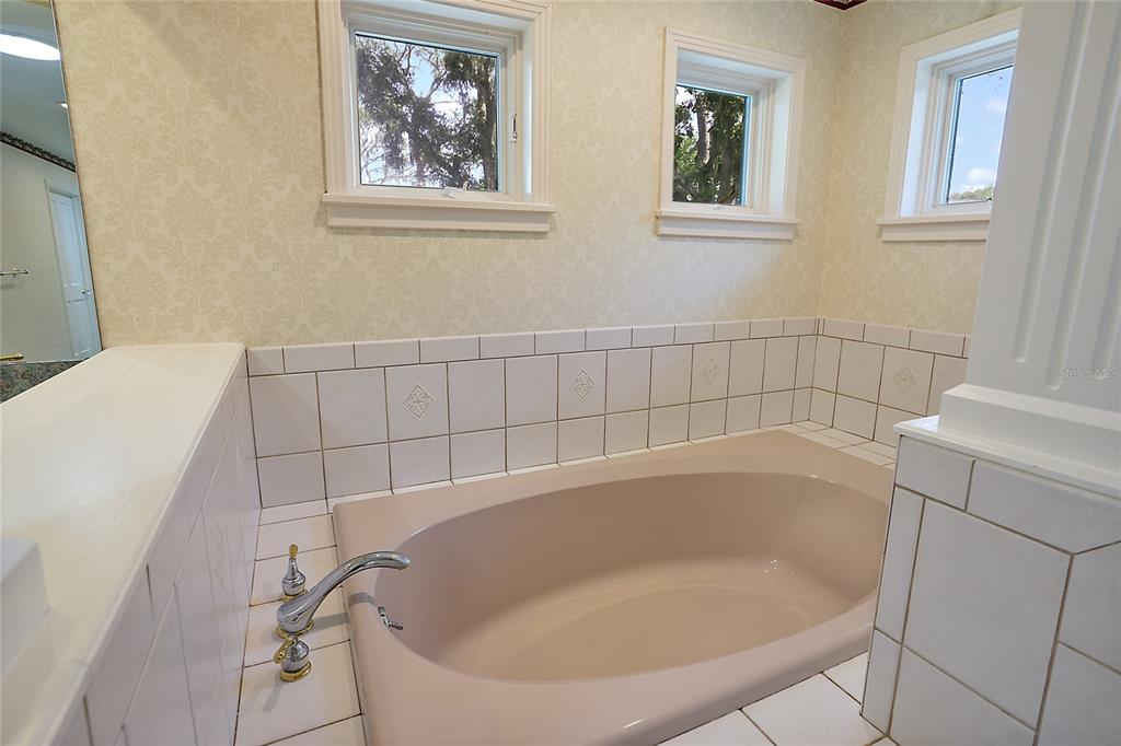 Master Bath Soaking Tub