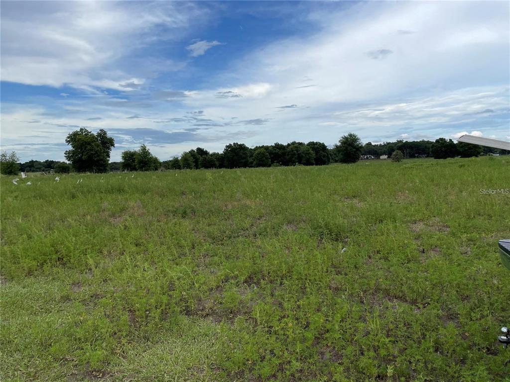 Nice Buildable Site.