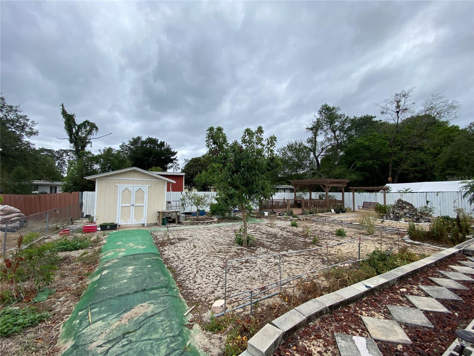 SHED, WALKWAY, AND FRUIT TREES