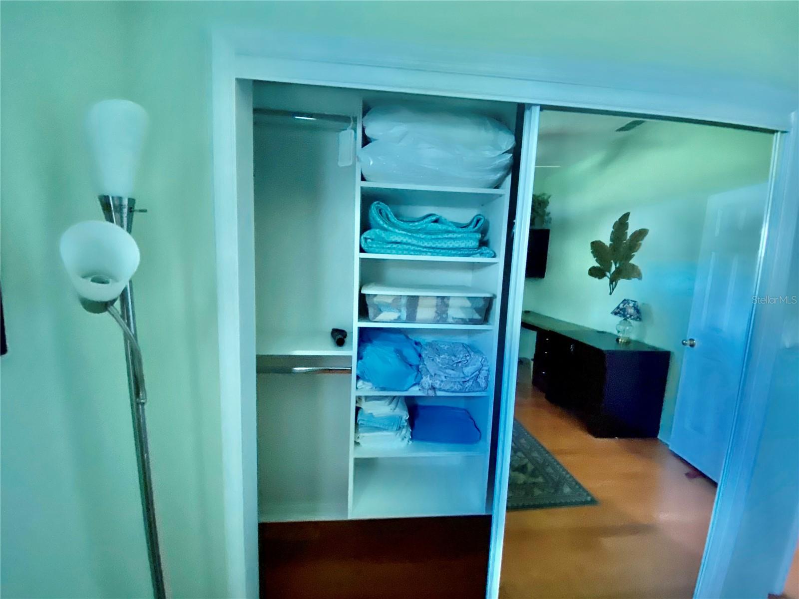 CUSTOM  CLOSET IN GUEST BEDROOM