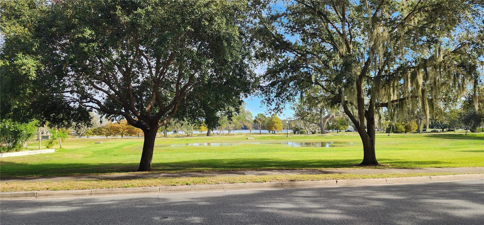 View from front yard