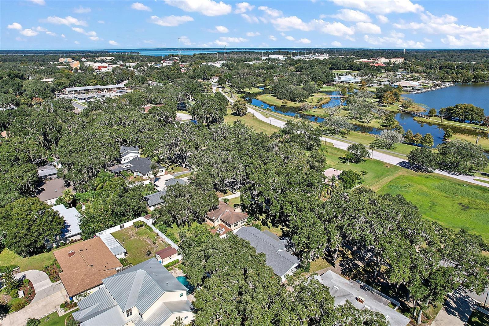 Aerial view looking Northeast. Lake Griffin at top of the photo
