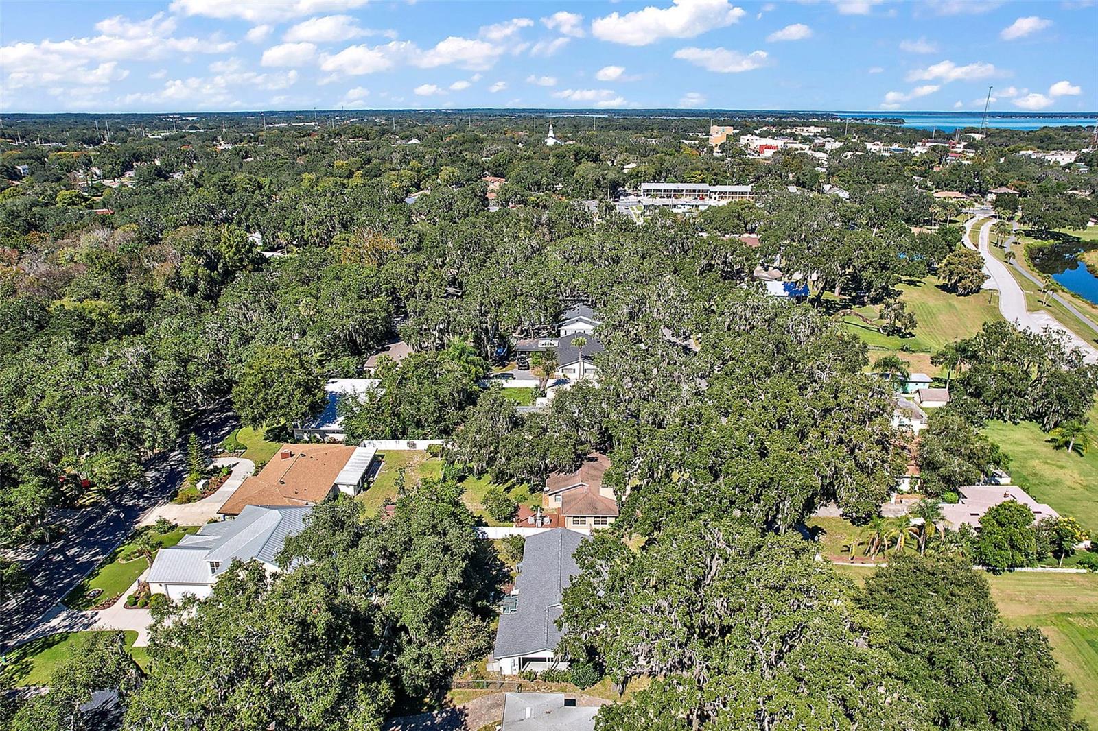 Aerial view looking north, Lake Griffin in the distance